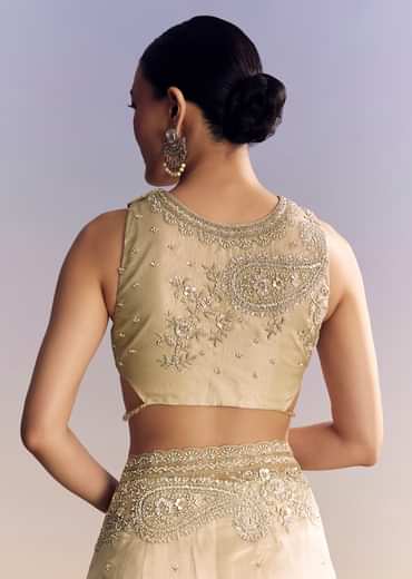 Beige Crush Tissue Saree With Multitech Embroidery