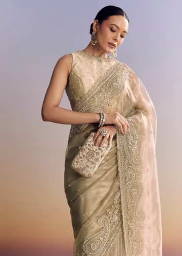 Beige Crush Tissue Saree With Multitech Embroidery