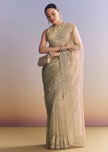 Beige Crush Tissue Saree With Multitech Embroidery