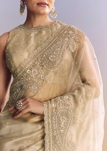 Beige Crush Tissue Saree With Multitech Embroidery