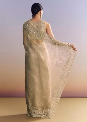 Beige Crush Tissue Saree With Multitech Embroidery