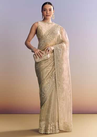 Beige Crush Tissue Saree With Multitech Embroidery