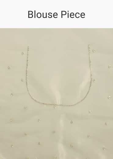 Apple Green Glass Tissue Saree With Cutdana Embroidery