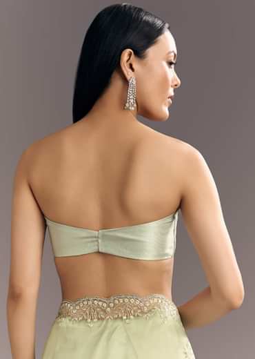 Apple Green Glass Tissue Saree With Cutdana Embroidery