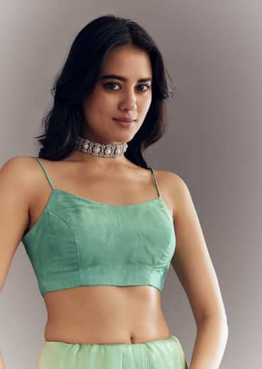 Aqua Green Organza Saree With Stones Beads And Sequins Embroidery And Scallop Border