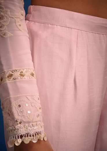 Baby Pink Organza Embroidered Straight Kurta Set