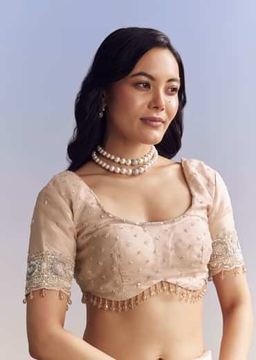 Baby Pink Organza Saree With Chikankari Threadwork And Beaded Embroidery