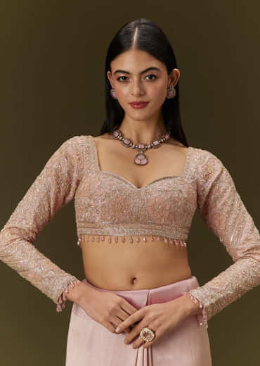 Baby Pink Tissue Saree With Velvet Embroidered Blouse