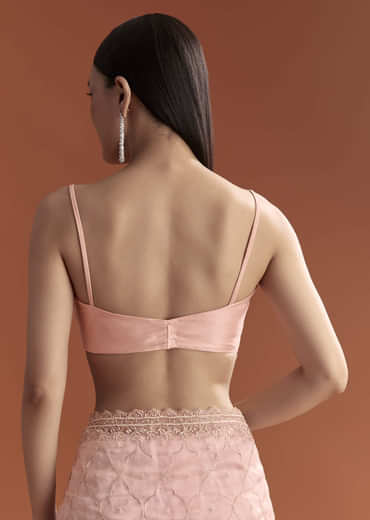 Baby Pink Organza Embroidered Saree With Jaal Work