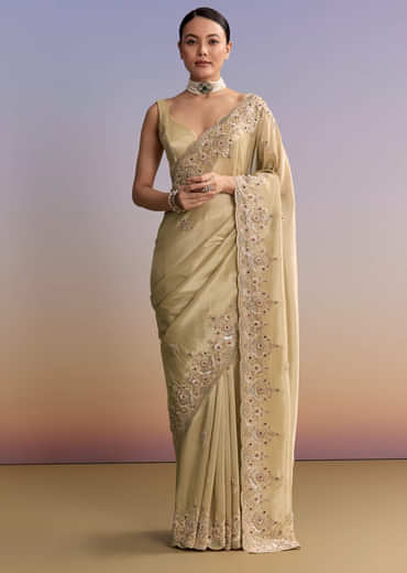 Beige Gold Tissue Embroidered Saree With Zardosi And Stone Work