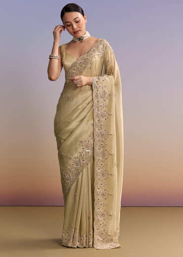 Beige Gold Tissue Embroidered Saree With Zardosi And Stone Work