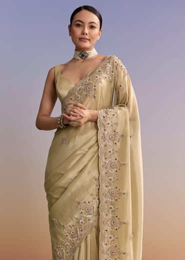 Beige Gold Tissue Embroidered Saree With Zardosi And Stone Work