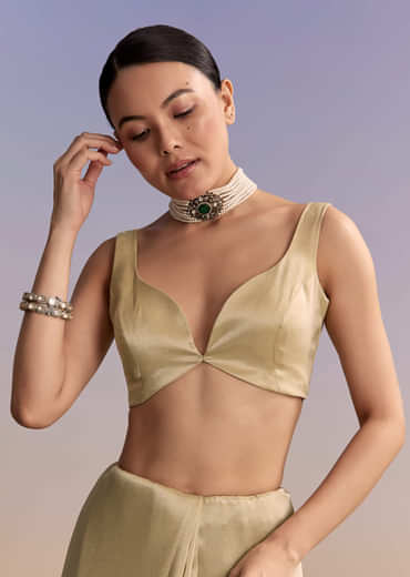 Beige Gold Tissue Embroidered Saree With Zardosi And Stone Work