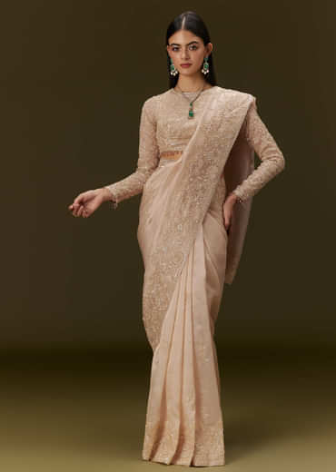 Beige Ivory Tissue Saree With Velvet Embroidered Blouse