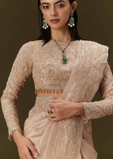 Beige Ivory Tissue Saree With Velvet Embroidered Blouse