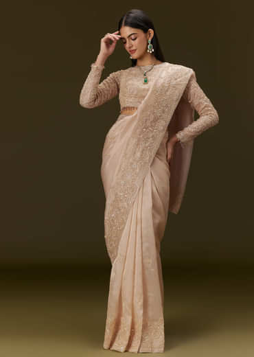 Beige Ivory Tissue Saree With Velvet Embroidered Blouse