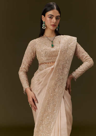 Beige Ivory Tissue Saree With Velvet Embroidered Blouse
