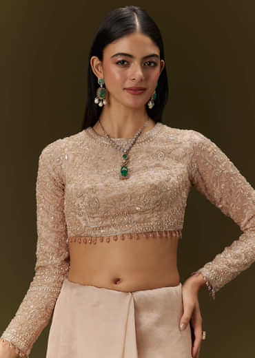 Beige Ivory Tissue Saree With Velvet Embroidered Blouse