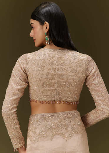 Beige Ivory Tissue Saree With Velvet Embroidered Blouse