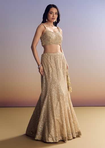 Beige Lehenga Set With Jacket And Cut Dana Embroidery
