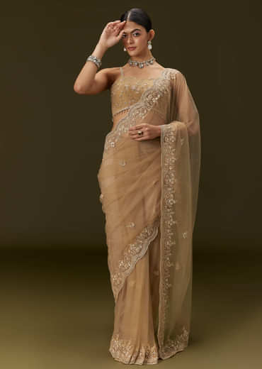 Beige Net Saree With All Over Heavy Embroidery