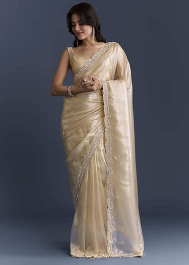 Beige Net Saree With Heavy Hand Embroidery