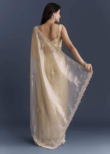 Beige Net Saree With Heavy Hand Embroidery