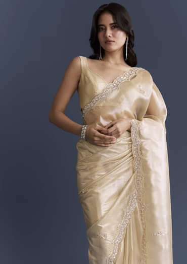 Beige Net Saree With Heavy Hand Embroidery