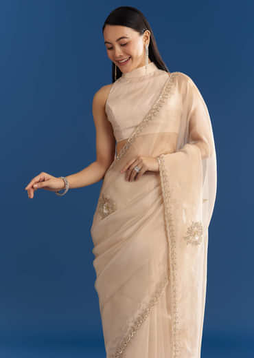 Beige Organza Tissue Saree With Delicate Embellished Edge