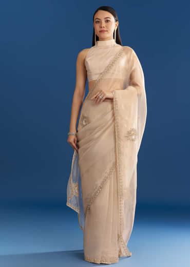Beige Organza Tissue Saree With Delicate Embellished Edge