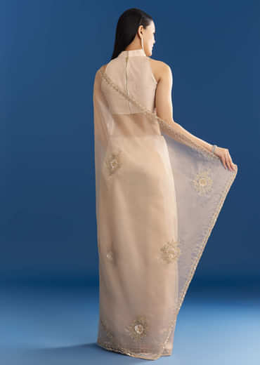 Beige Organza Tissue Saree With Delicate Embellished Edge