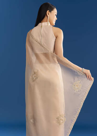 Beige Organza Tissue Saree With Delicate Embellished Edge