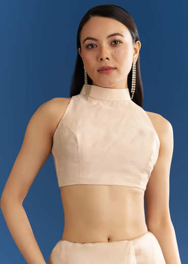 Beige Organza Tissue Saree With Delicate Embellished Edge