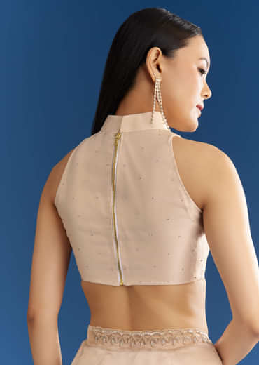 Beige Organza Tissue Saree With Delicate Embellished Edge