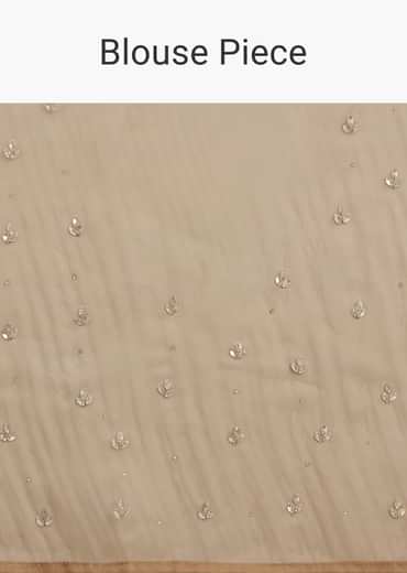 Beige Shaded Glass Tissue Saree With Stone Embellishment