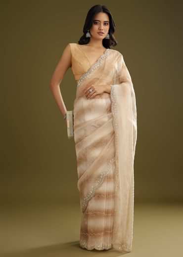 Beige Shaded Glass Tissue Saree With Stone Embellishment