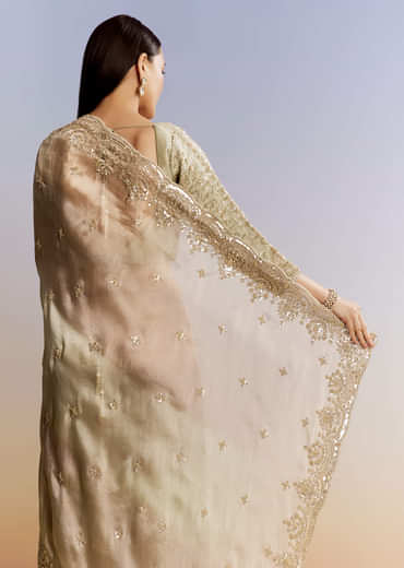 Beige Shaded Tissue Saree With Sequins Beads And Cutdana