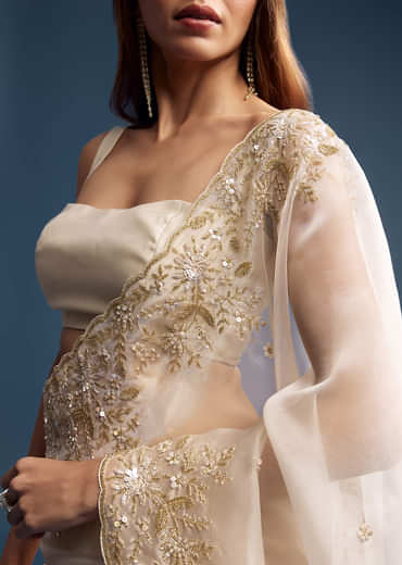 Beige Tissue Saree With Golden Floral Embroidery