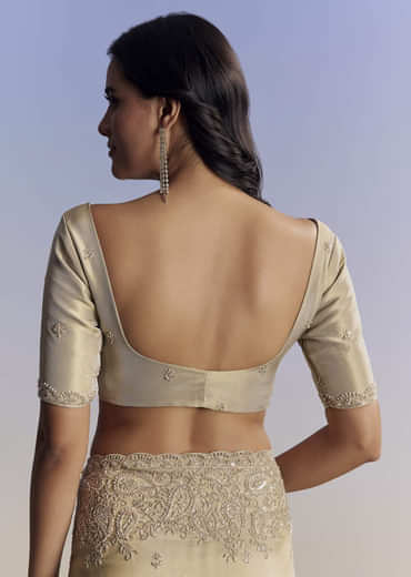 Beige Tissue Saree With Hand Embroidery With Cutdana And Sequins