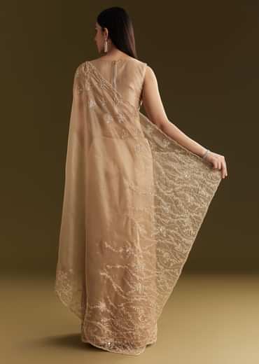 Beige Tissue Saree With Heavy Cutdana And Beads Embroidery