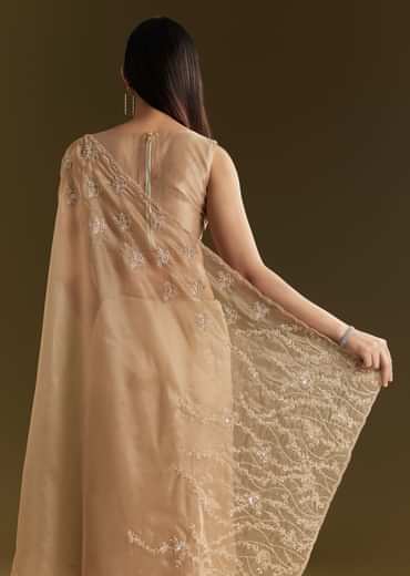 Beige Tissue Saree With Heavy Cutdana And Beads Embroidery