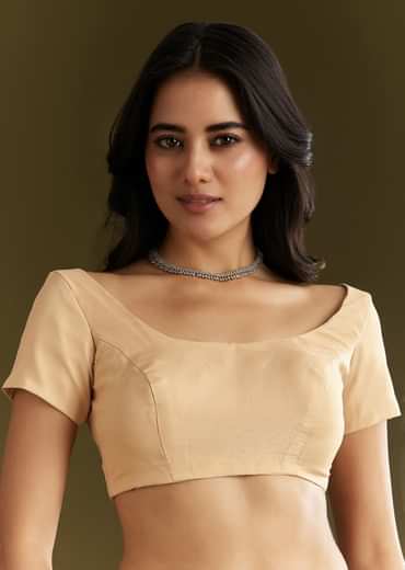 Beige Tissue Saree With Leaf Motif Embroidery In Sequins And Cutdana