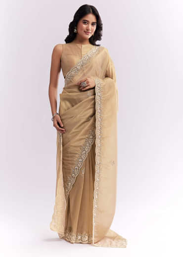 Beige Tissue Silk Saree With Heavy Hand Embroidery