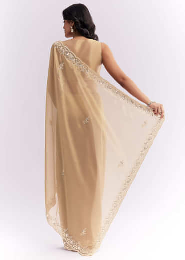 Beige Tissue Silk Saree With Heavy Hand Embroidery