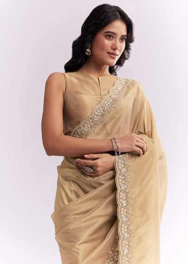 Beige Tissue Silk Saree With Heavy Hand Embroidery