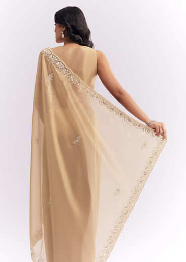 Beige Tissue Silk Saree With Heavy Hand Embroidery