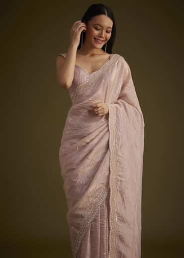 Beige Crushed Tissue Saree With Embroidered Border
