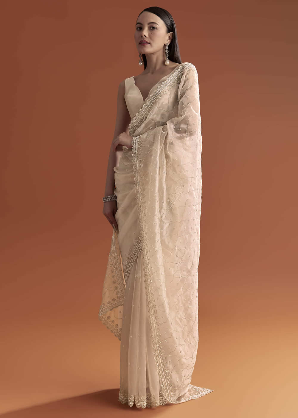 Beige Organza Embroidered Saree With Jaal And Butti Work