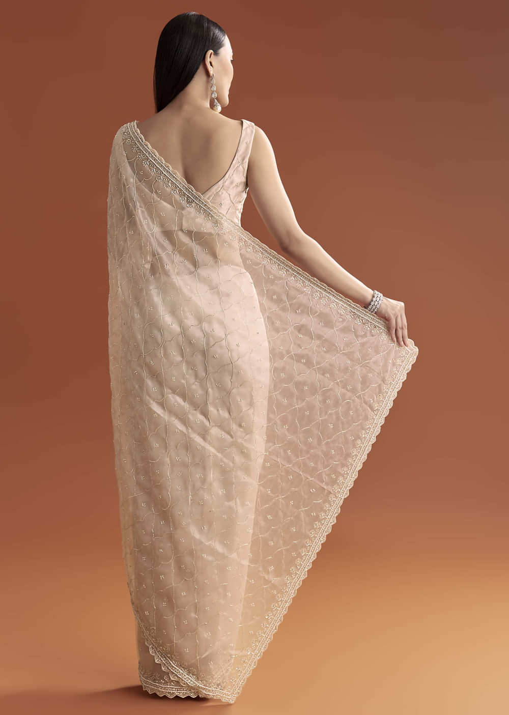 Beige Organza Embroidered Saree With Jaal And Butti Work