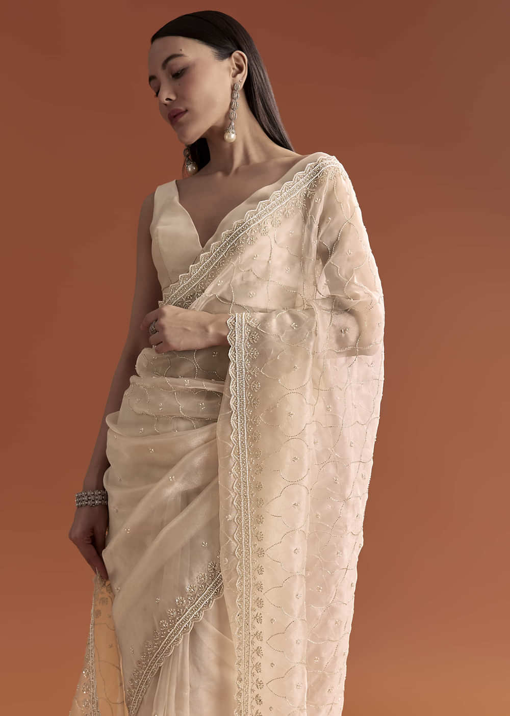 Beige Organza Embroidered Saree With Jaal And Butti Work